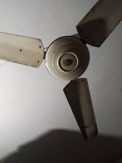 Ceiling Fan