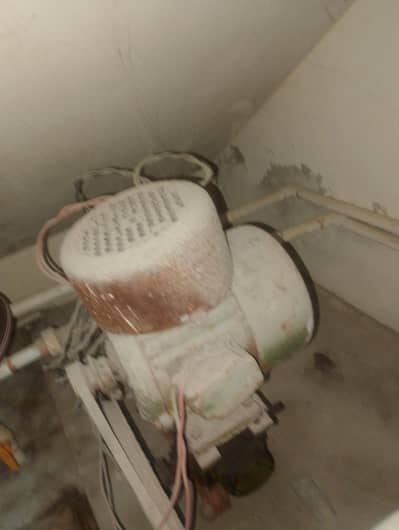 donkey pump for sale