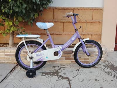 Kids Imported Bicycle | 16 size | 0320/2257/271