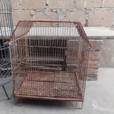cage for parrot