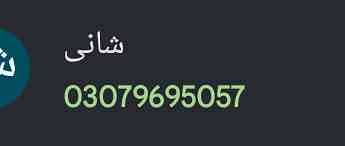 Usman Malik 