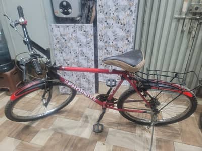 Bicycle Phoenix for sale