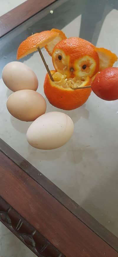 pure desi eggs_Fresh desi eggs_organic desi eggs_wholesale&retail