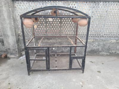 parrots cage