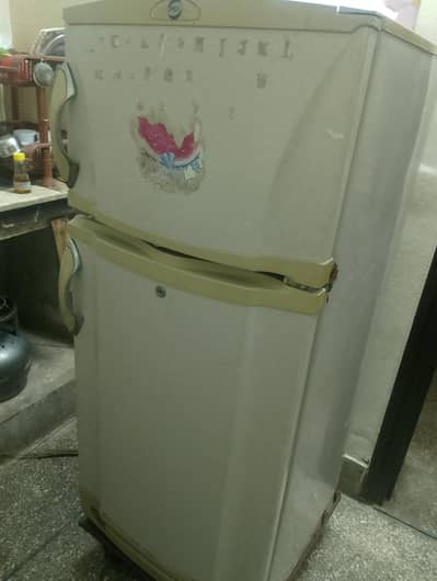 PEL Refrigerator Good condition