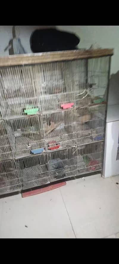 12 portion cage for sale