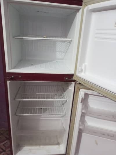 PEL Refrigerator