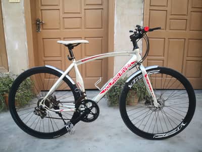 Imported Dolphin River Sports Bicycle Slim Tyres.