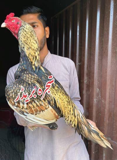 very beautiful color