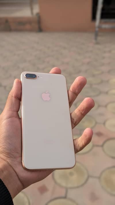 iPhone 8 plus golden pta approved 64 gb