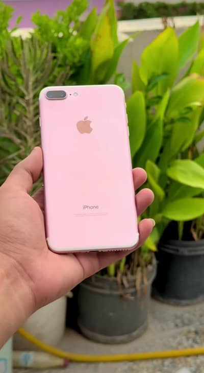 Iphone 7plus in new condition available just in normal price