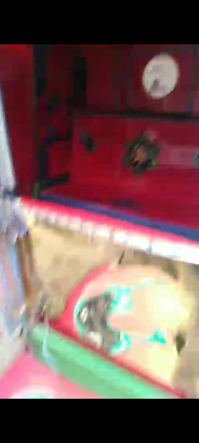 03056762970 , 03027367984