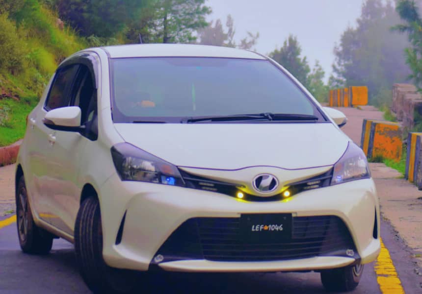 Vitz spider shape 3