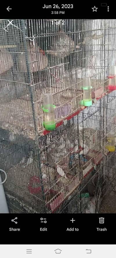 cage for sale