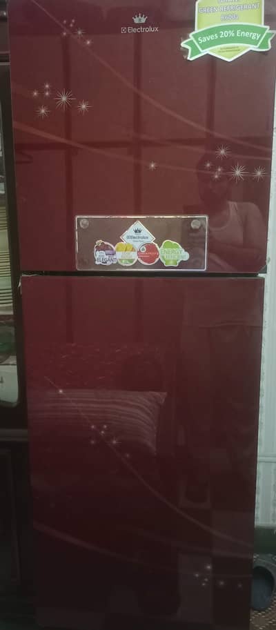 12 cubic feet medium size inverter technology refrigerator