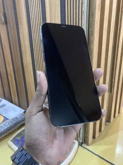 iPhone 12 Pro Max 256GB