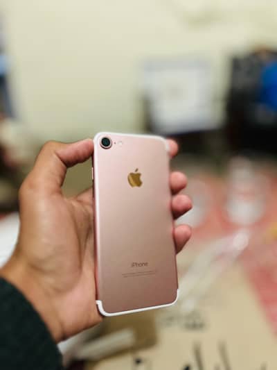 new iPhone 7 rose colour