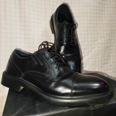 Antique Lark & Finch