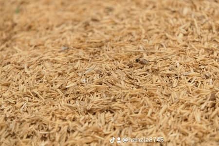 چاول کا چھلکا 70روپے کلو