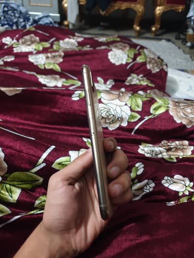 Xs max officials pta approved