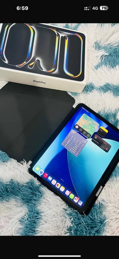 Apple iPad Pro M5 (11 Month Warranty) - 256GB - 11 inches Ipad M5