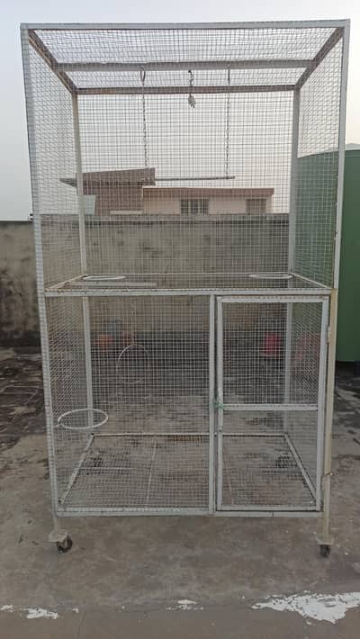 Parrots cage