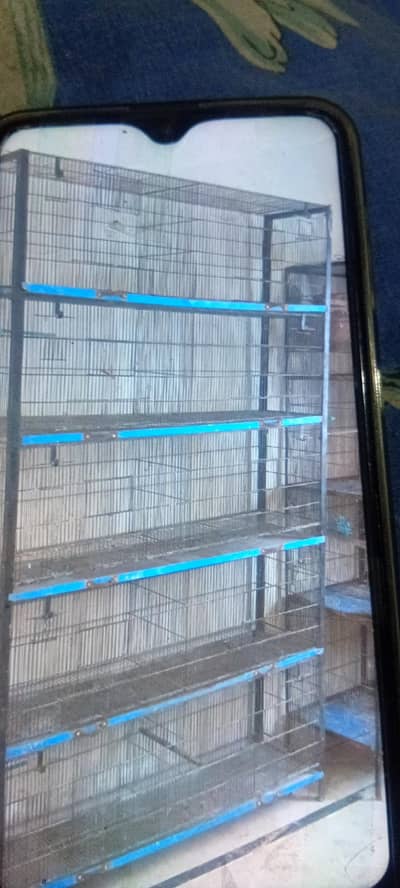 10 portion cage heavy gauge