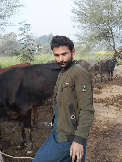 Yasir Abbas
