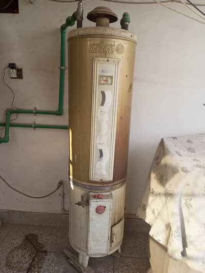Nasgas Geyser For Sale