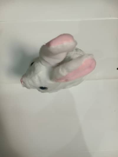 Khargosh, Muru, Soie,,Rabbit, dry battery, fine Quality