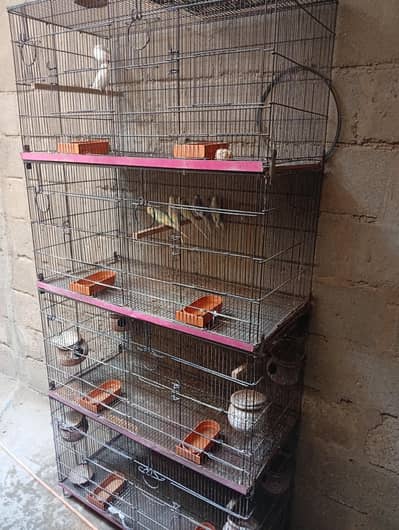 8 portion cage for sale