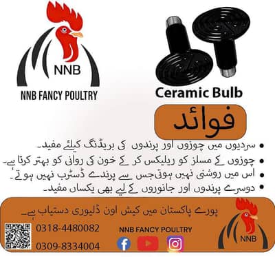 ceramic bulb /infared bulb/ heating bulb/ for incubator&brooder.