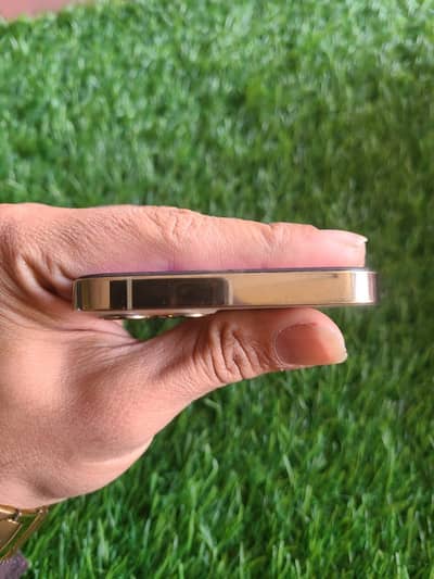 iPhone 12pro 256gb factory unlock LLmodel