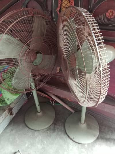 02 Pedistral Fans