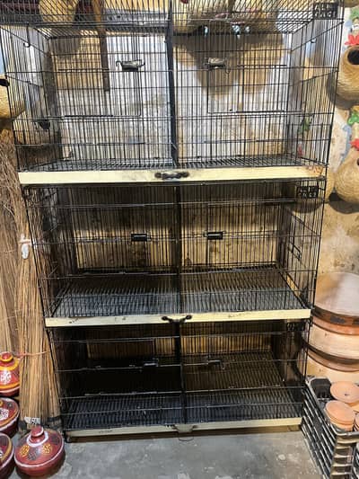 birds cages