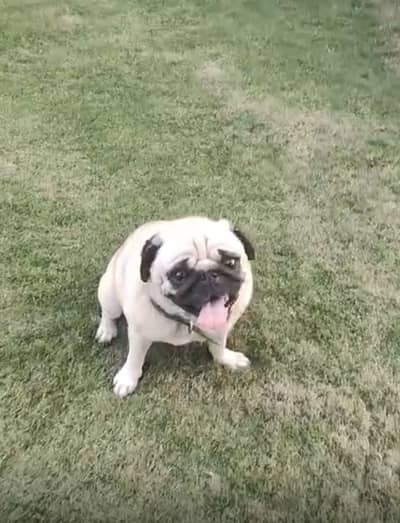 WHATSP 03104066717 LOCTION SARGIDHA