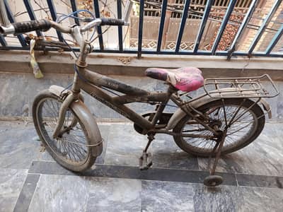 kids Bicycle (Heavy Duty)