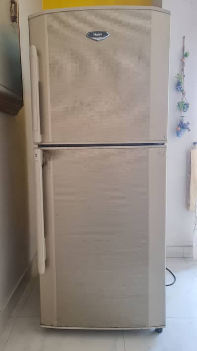 Fully Functional Company Maintaied Haier Refrigerator