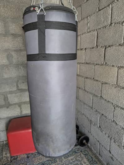 punching bag and gloves for sale