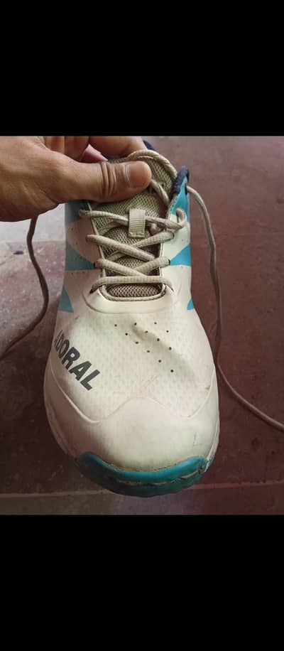 cricket sports gripper Adroal company