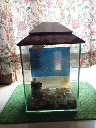 Fish Aquarium with Oxygen Fertilizer & Accessories