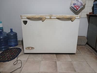 Double Door Freezer