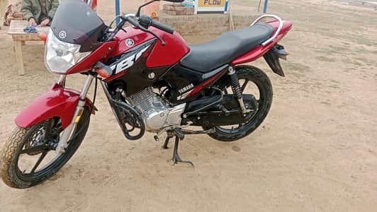 Yamaha YBR 125 Urgent For Sale | 6k KM Use Only | Yamaha YBR 125G