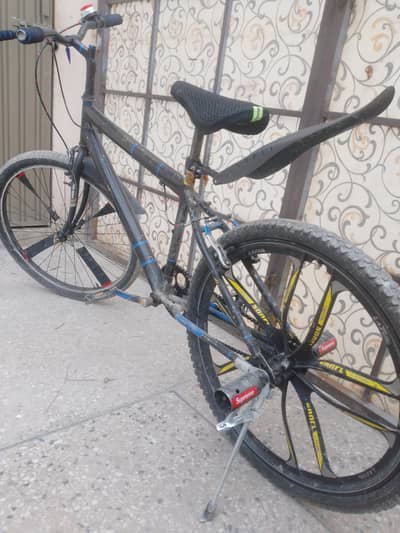 Phoenix cycle (size26)