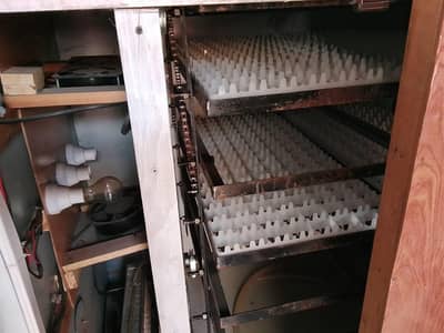 incobetr machine egg hatching  machine for sale