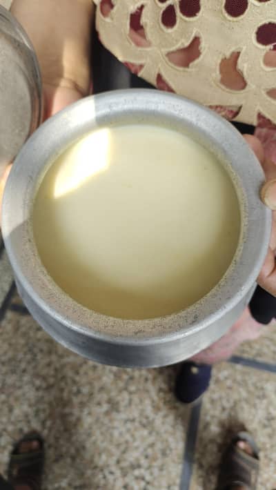 Fresh Desi Ghee