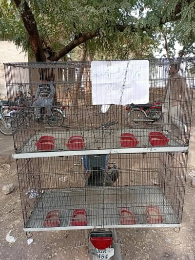 Cage for sale