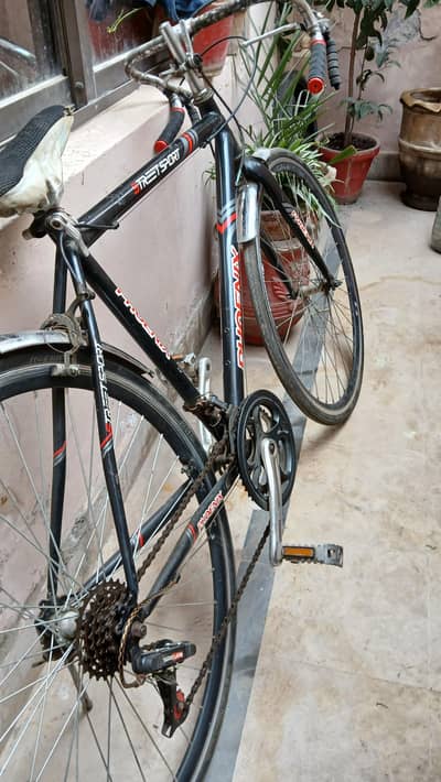 Cycle for sale
