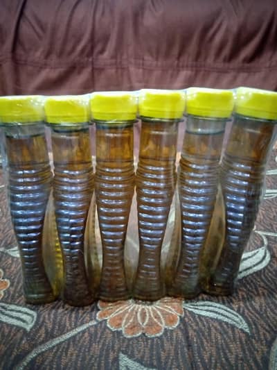sarsu oil