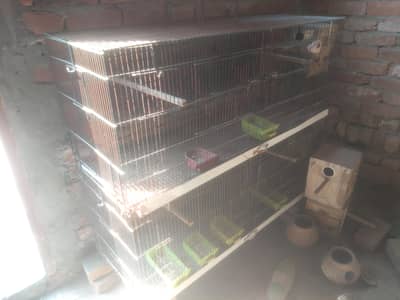 cages for sale